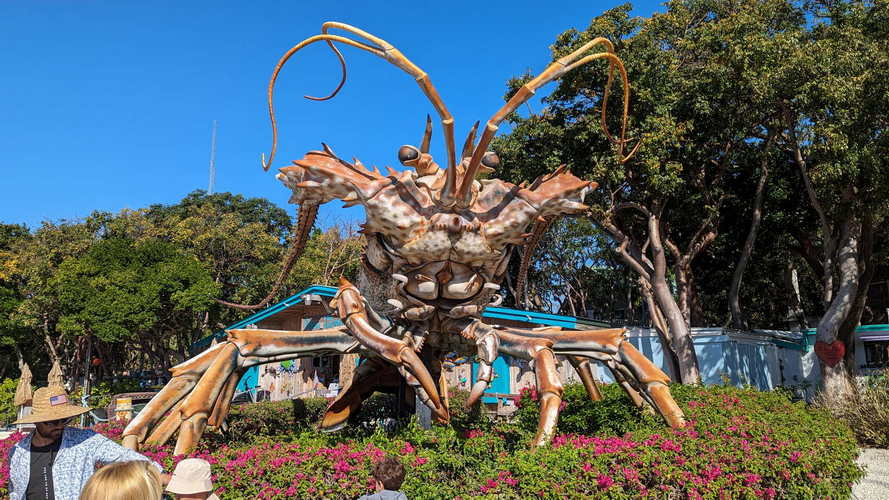 MIA_2024-03-24 10-06-19_PXL_20240324_140619989
